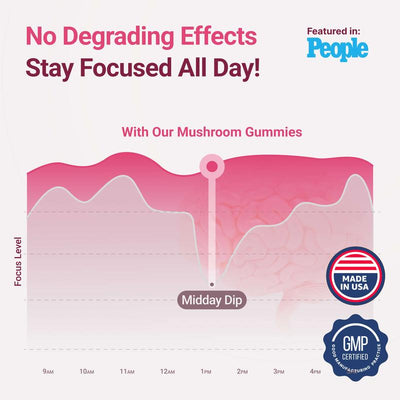 Mushroom Gummies Supplement for Energy, Focus, & Gut Health (60 Gummies)