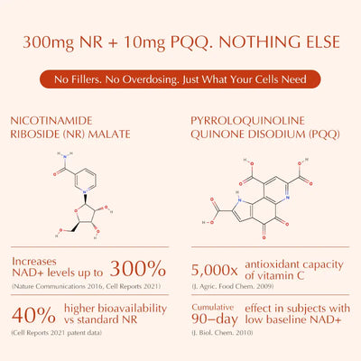 Cenava NAD+ Booster Supplement
