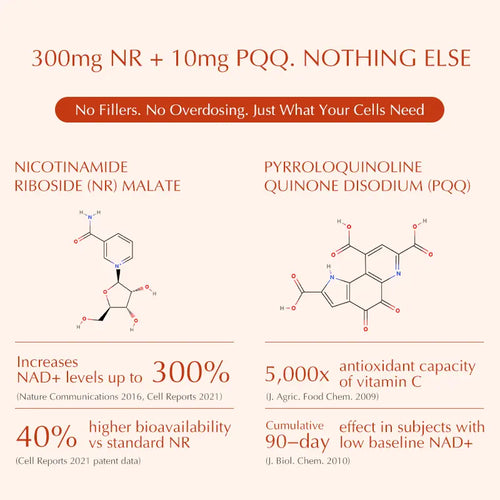Cenava NAD+ Booster Supplement