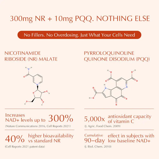 Cenava NAD+ Booster Supplement
