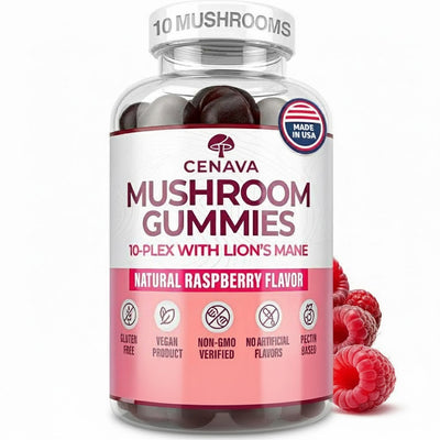 Mushroom Gummies Supplement for Energy, Focus, & Gut Health (60 Gummies)