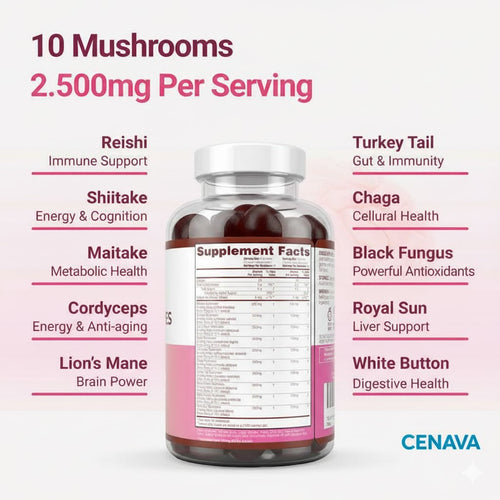 Mushroom Gummies Supplement for Energy, Focus, & Gut Health (60 Gummies)