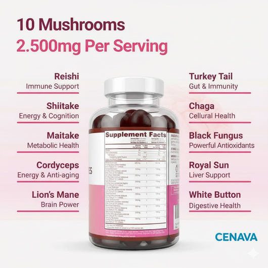 Mushroom Gummies Supplement for Energy, Focus, & Gut Health (60 Gummies)